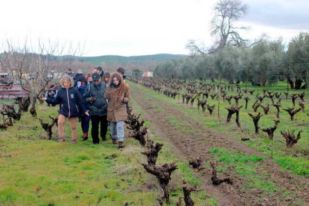 Pr Cticas En Granja Del Alumnado Del M Ster En Agroecolog A De La Unia