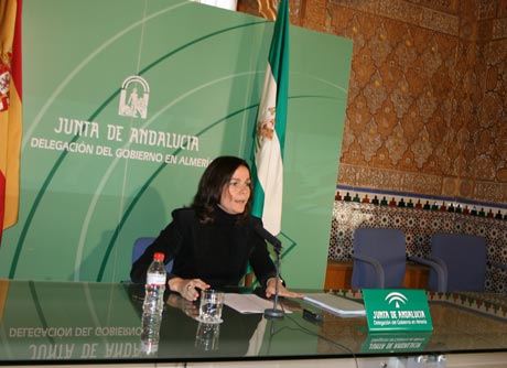 Yolanda Callejón ha defendido las cuentas para 2010.