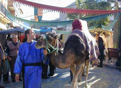 Camello en el Mercado Medieval de Huércal Overa