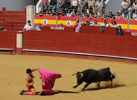 José Cabrera recibiendo un toro a portagayola.