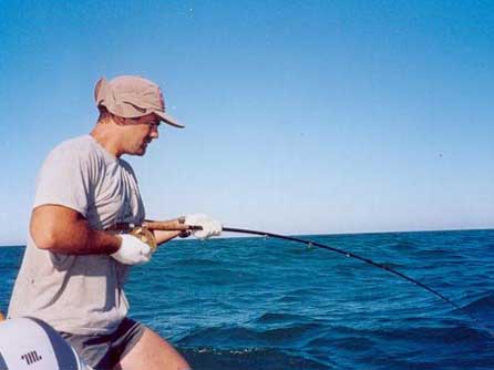 perder Descompostura Dictado La licencia de pesca deportiva sólo permite capturar cinco kilos de pescado  al día - Nova Ciencia