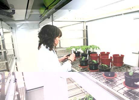 Laboratorio de Savia Biotech.