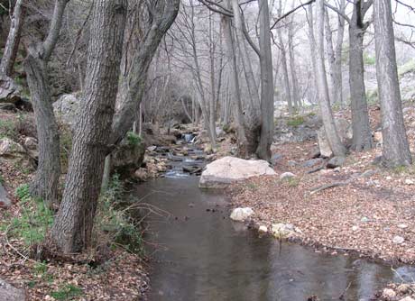 El río Andarax es uno de los ecosistemas fluviales a conservar.