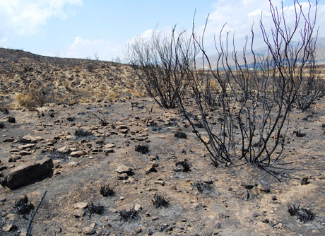 Imagen de archivo del incendio ocurrido en Sierra Cabrera en 2009.