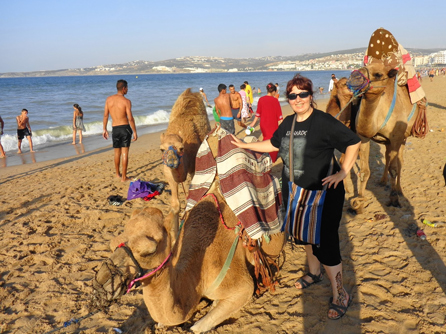 Rutas en camello por una playa de Tánger