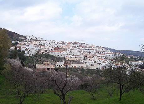 El municipio de Bédar.