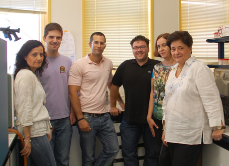 Ana Cámara (dcha) y el resto de investigadores del grupo Estructura de Proteínas.