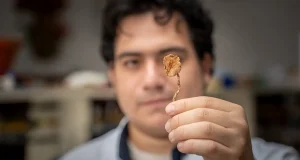 Hongos con efectos alucinógenos, la droga que crece en el monte de forma natural y cuyo consumo se ha disparado en América