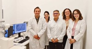 Un nuevo blanco terapéutico para frenar el crecimiento de tumores intracraneales