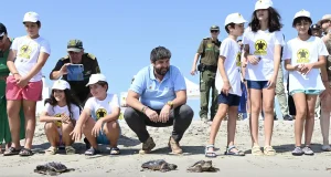Murcia libera 30 tortugas bobas en La Manga y prosigue su recuperación y protección con el programa ‘Territorio Tortuga’