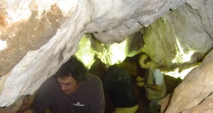 Confirman por primera vez que los neandertales comían aves crudas
