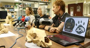 Las cuevas de León guardan las historia de los últimos treinta mil años de evolución humana