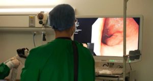 GastroHUN, el primer repositorio abierto que documenta el estómago humano para entrenar una herramienta de Inteligencia Artificial médica