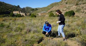 La vegetación y la fauna vuelven a habitar en los suelos mineros contaminados abandonados en los años 90 de Cartagena