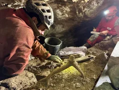 La segunda campaña arqueológica en la cueva de Hou Amieva en Llanes seguirá estudiando el último refugio de cazadores-recolectores de Hispania