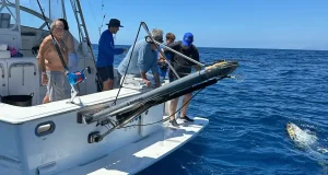 Pescadores deportivos se alían con los científicos para capturar, marcar y devolver al mar atunes rojos para conocer más sobre esta especie