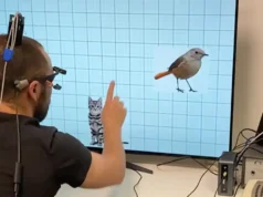 La inteligencia artificial es capaz de adaptar una prótesis visual a la respuesta cerebral de una persona ciega
