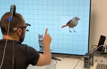 La inteligencia artificial es capaz de adaptar una prótesis visual a la respuesta cerebral de una persona ciega