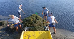 El IEO pretende mejorar el conocimiento científico del ecosistema del Mar Menor monitorizar su estado en tiempo real