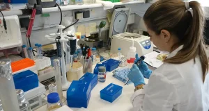 Un 5% de niños sanos nace con una predisposición genética a desarrollar leucemia
