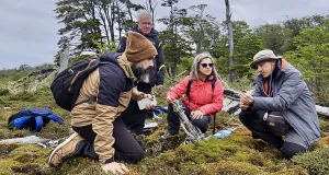 Estudian en Tierra del Fuego (Chile) cómo logran las plantas resistir a la radiación ultravioleta extrema en zonas subantárticas