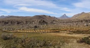Titulados de arquitectura de la UTalca protegen el hábitat del sapito espinoso frente a las amenazas que enfrenta este ecosistema
