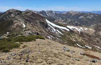 Los satélites permiten detectar desde el espacio señales clave del funcionamiento de los ecosistemas alpinos