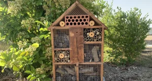 La UMH adapta sus cuatro campus para favorecer la biodiversidad