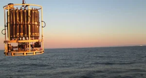 Estas son las amenazas que ponen en peligro la salud oceánica: acidificación, pérdida de oxígeno y el aumento de gases de efecto invernadero