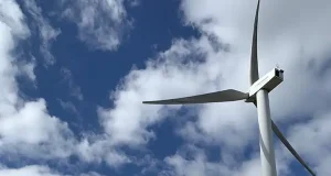 El seguimiento por GPS de la fauna silvestre revela carencias clave en la evaluación ambiental de los parques eólicos