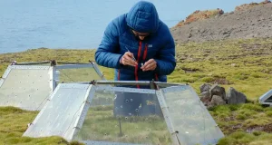 Científicos de la UTalca lideran PRISMA, el proyecto para proteger el ecosistema Antártico de especies invasoras por el cambio climático