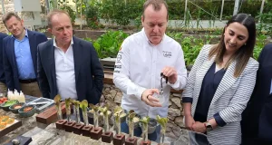 Hortalizas que dejaron de cultivarse hace décadas pueden convertirse en ingredientes de alta gastronomía para las mejores mesas