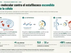 Diseñan un péptido origen vegetal y derivado del garbanzo capaz de atacar a una peligrosa bacteria que se esconde dentro de las células