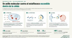 Diseñan un péptido origen vegetal y derivado del garbanzo capaz de atacar a una peligrosa bacteria que se esconde dentro de las células