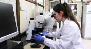 Los jóvenes investigadores podrán presentar sus trabajos a los Premios «Mariano Rodríguez» hasta el 21 de diciembre