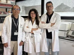 Identifican una hormona en el hígado que actúa sobre el cerebro e influye en el inicio de la pubertad