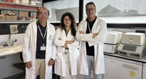 Identifican una hormona en el hígado que actúa sobre el cerebro e influye en el inicio de la pubertad