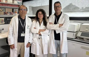 Identifican una hormona en el hígado que actúa sobre el cerebro e influye en el inicio de la pubertad
