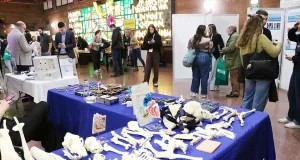 La élite mundial de Hispanoamérica, Europa y España en cirugía veterinaria se da cita en la Universidad de León