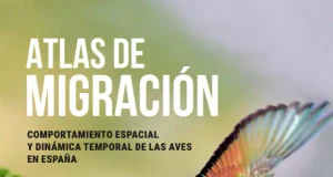 Nace el Atlas de Migración de las Aves en España, la mayor obra de referencia sobre los movimientos de las aves de España