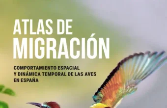 Nace el Atlas de Migración de las Aves en España, la mayor obra de referencia sobre los movimientos de las aves de España