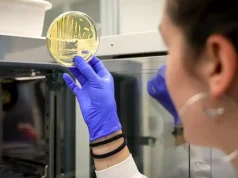 ICCRAM de la UBU consigue cuatro nuevos proyectos para impulsar la transición energética y la descontaminación de ecosistemas