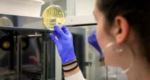 Financiación de la Investigación: Cantidad vs. Calidad Científica