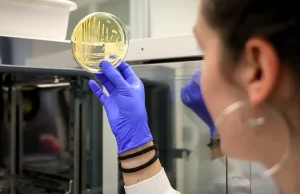 ICCRAM de la UBU consigue cuatro nuevos proyectos para impulsar la transición energética y la descontaminación de ecosistemas