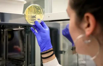 ICCRAM de la UBU consigue cuatro nuevos proyectos para impulsar la transición energética y la descontaminación de ecosistemas