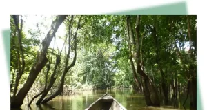 Ricardo Sánchez expone en Murcia fotografías emulando la primera expedición de Francisco de Orellana en el Amazonas en 1542