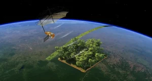 Biomass, el «Gran Hermano» que vigila los bosques de Sudamérica, África y el sudeste asiático para facilitar su recuperación en caso de incendios
