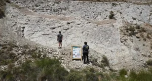Teruel abre al turismo las huellas de dinosaurios en Ababuj, Aguilar del Alfambra y Galve