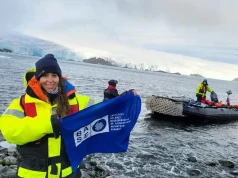 Microplásticos y aumento de temperaturas alteran las respuestas celulares de peces antárticos y subantárticos