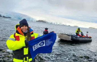 Microplásticos y aumento de temperaturas alteran las respuestas celulares de peces antárticos y subantárticos